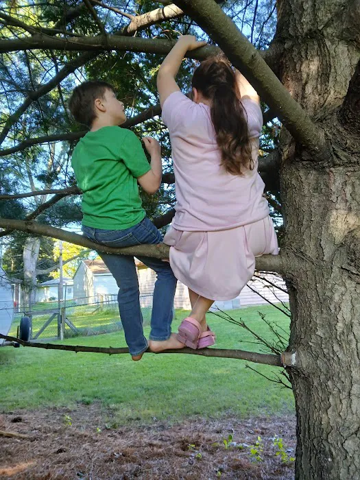 Johnson Dance & Gymnastics Picture 2