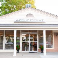 Dance D'Elegance - Adult Ballroom Dance Studio ico