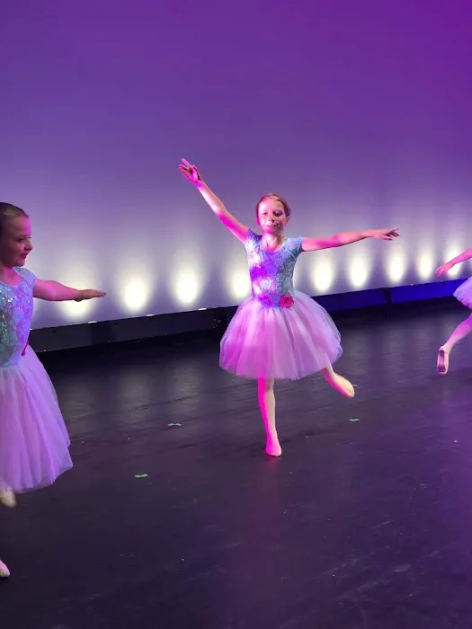 Davis Parks School of Arts & Medina Centre For Dance Art Picture 8