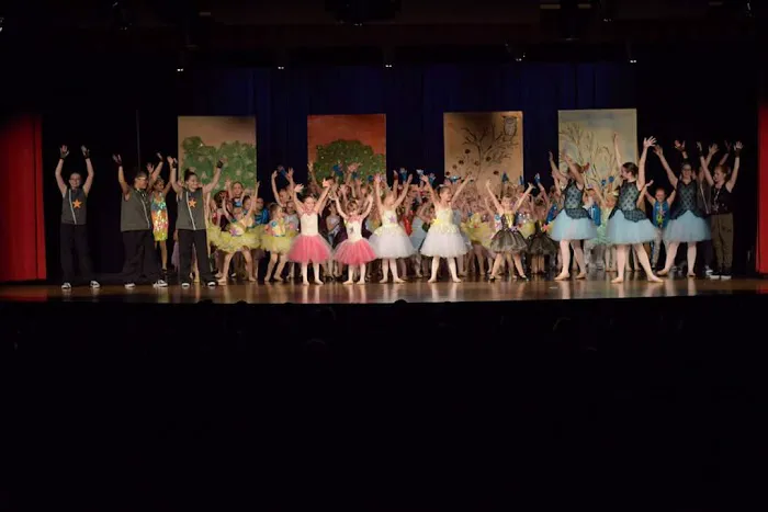 Katee's Dance Stop Picture 6