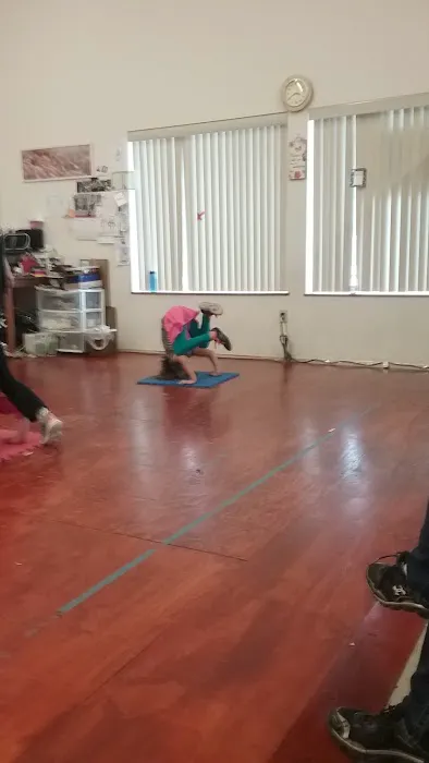 Katee's Dance Stop Picture 8
