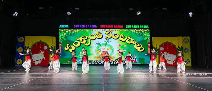 Sai Art Group Dance Academy Picture 1