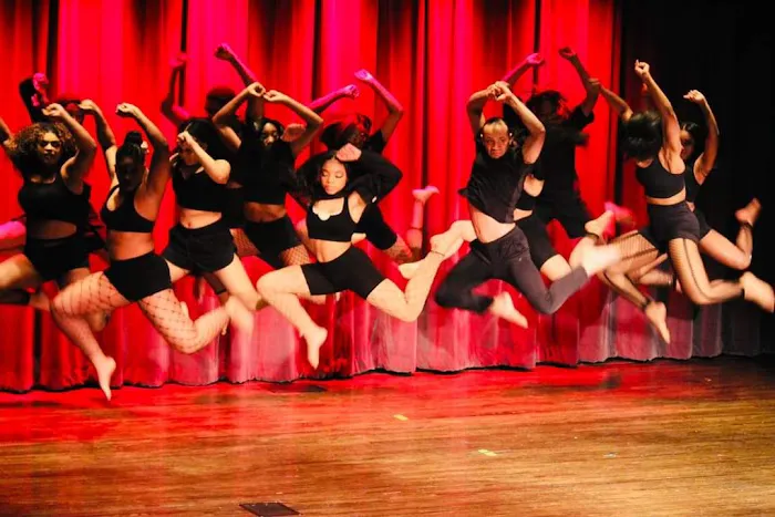 CDance Company for the Arts Picture 9