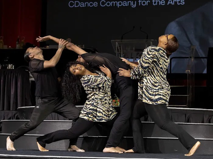 CDance Company for the Arts Picture 8