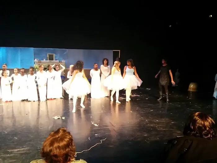 BalletMet Picture 4