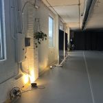 The Well Center for Movement & Dance, home of Whirlwind Dance & The WyND Program