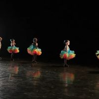 Jillian’s Dance Arts LLC ico