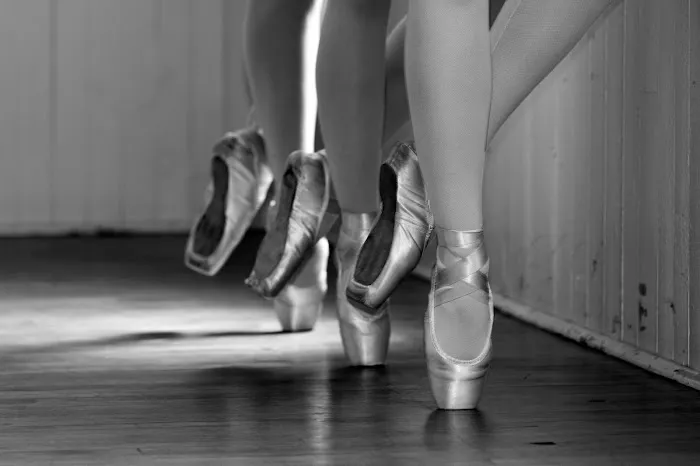 Ballet Wooster Picture 3