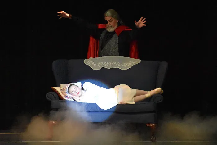 Ballet Wooster Picture 8