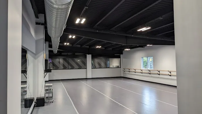 Artisan Dance Studio Picture 3