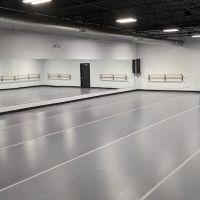 Artisan Dance Studio ico