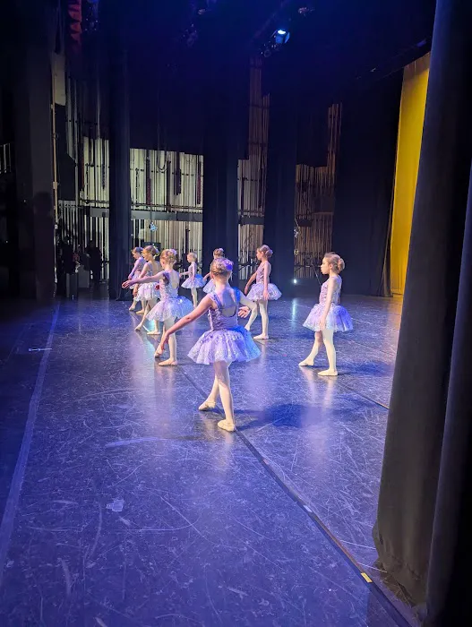 Diversion Dance Collective Picture 7