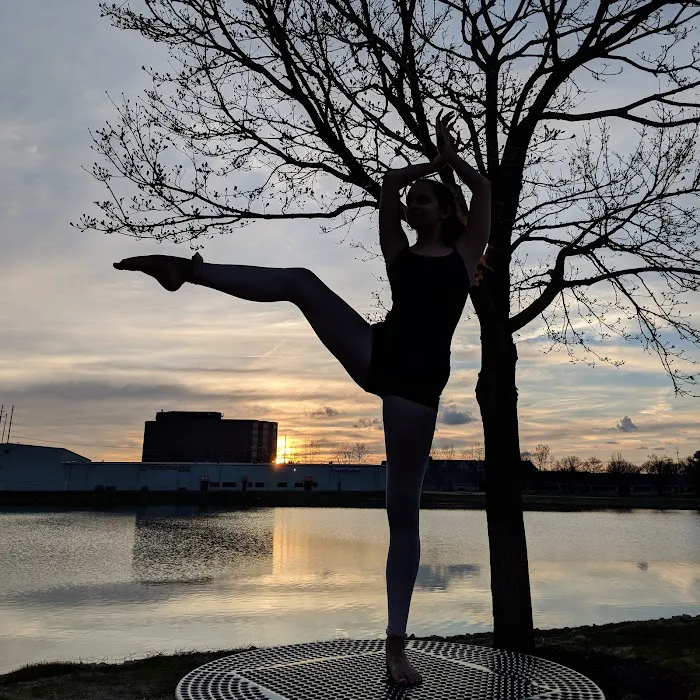 Diversion Dance Collective Picture 6
