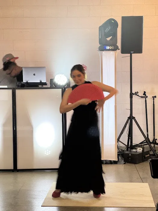 Gabriela Flamenco Academy Picture 6