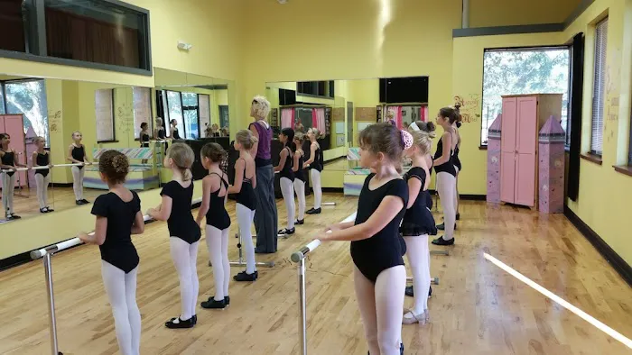 Dance Extension Picture 4