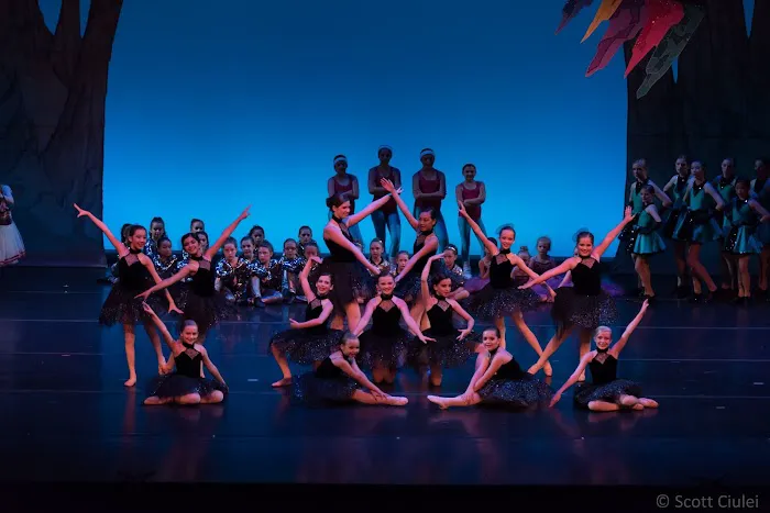 Columbus DanceArts Academy Picture 2