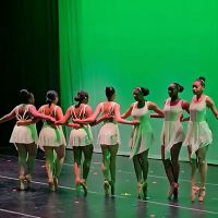 Theatre Street Dance Academy ico