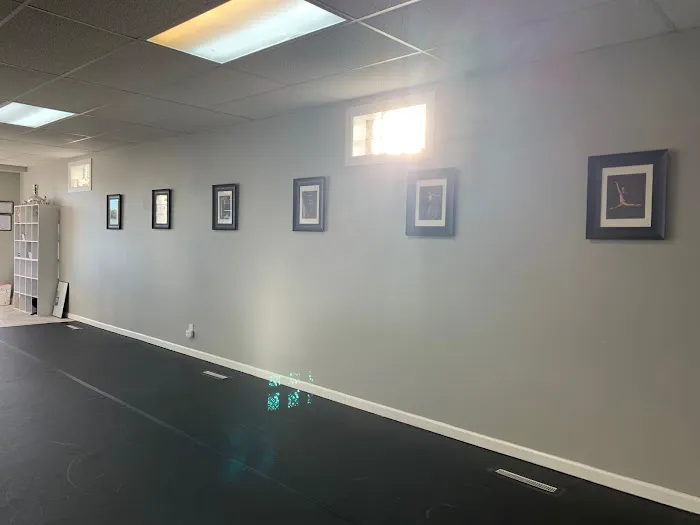 Bella Danza Performing Arts Picture 8