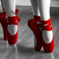 Diana Scudder School of Dance ico