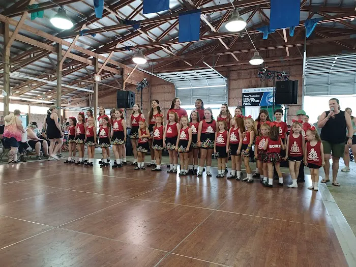 The Burke School of Irish Dance Cleveland Picture 1