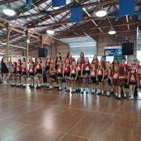 The Burke School of Irish Dance Cleveland ico