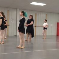 Simple Gifts Dance ico