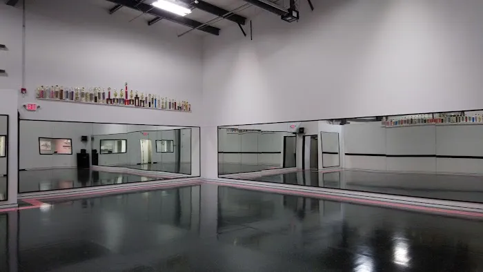 Step By Step Dance Academy Picture 3