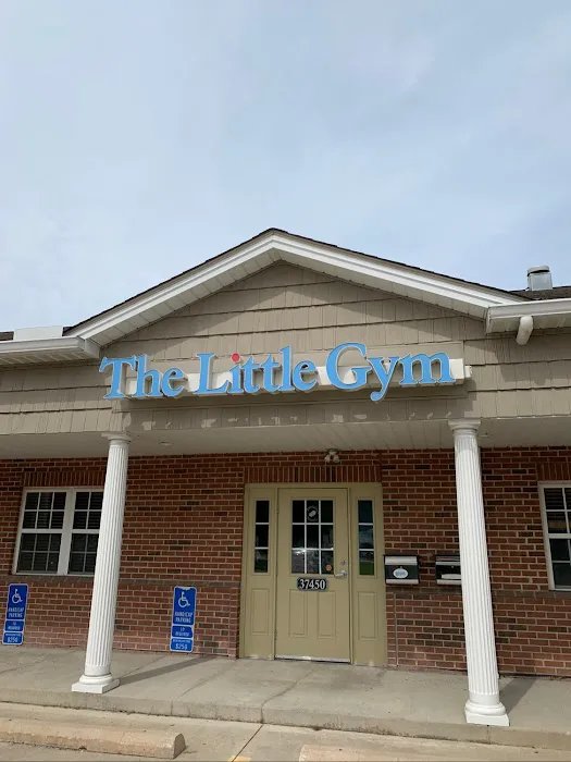 The Little Gym of Avon Picture 6