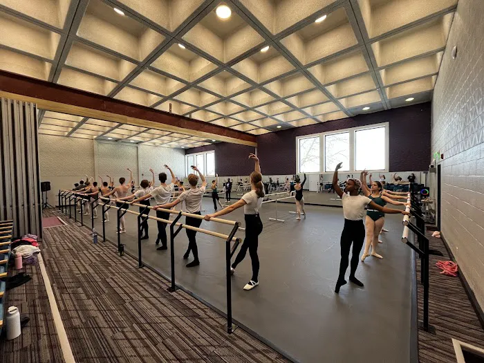 Toledo Ballet Picture 2