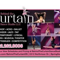 Behind The Curtain Dance Studio LLC ico