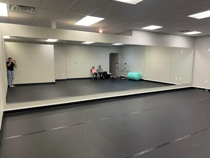 Dynamics Dance Project Picture 1
