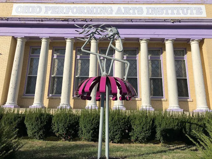 The Ohio Performing Arts Institute Picture 3