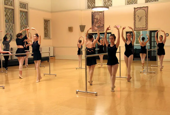 The Ohio Performing Arts Institute Picture 4