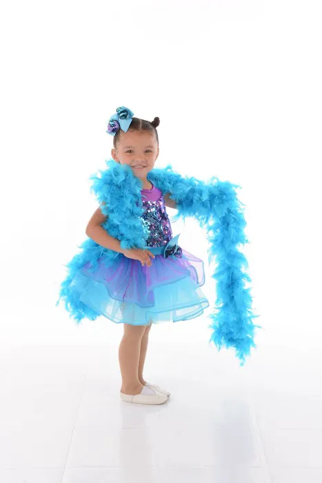 Viki Lynn's School of Dance Picture 10