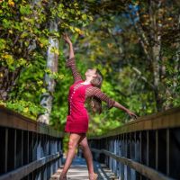 South Dayton School of Dance ico