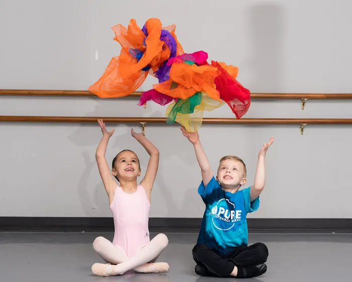 Pure Dance Works Picture 6
