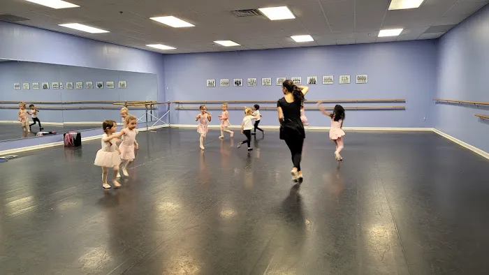 Michigan Academy of Dance & Music Picture 3