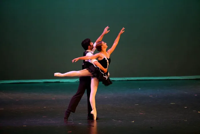 Academy of Arts Picture 5