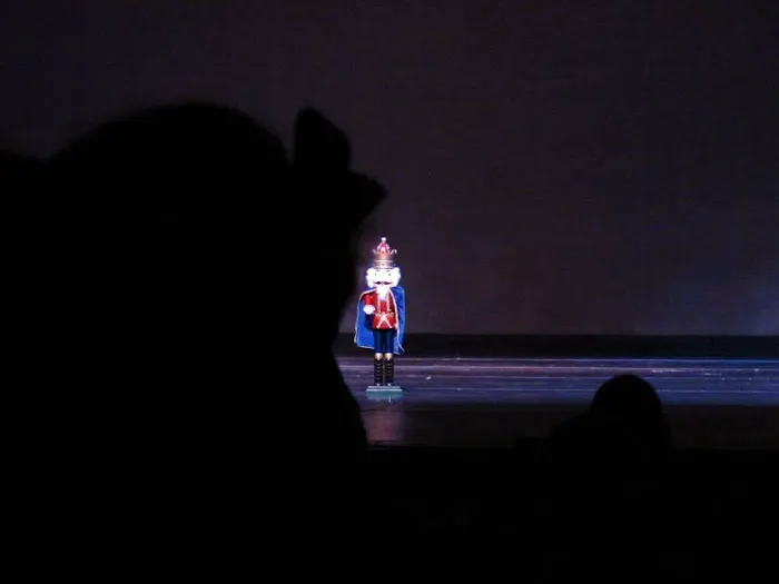 Miami Valley Dance Company Picture 8