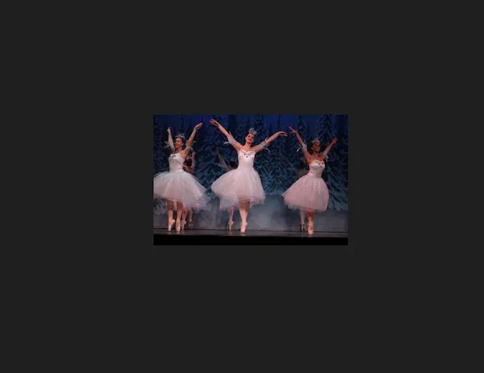 Miami Valley Dance Company Picture 7