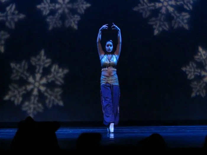 Miami Valley Dance Company Picture 5