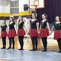 Dwyer School of Irish Dance ico
