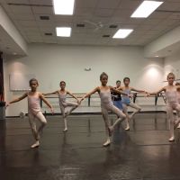 Fort Wayne Ballet ico