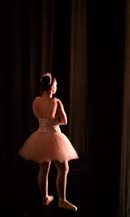 Fort Wayne Ballet Picture 2