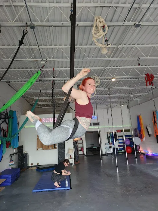 Studio Seva Picture 2