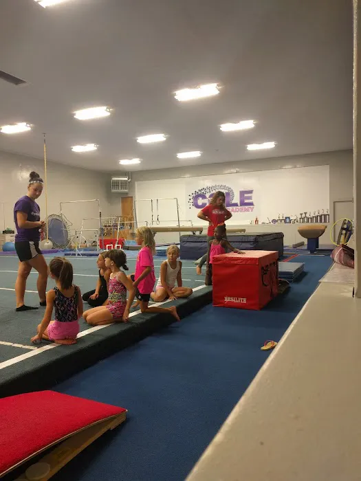 Cole Academy of Dance Gymnastics & Cheerleading Inc. Picture 1