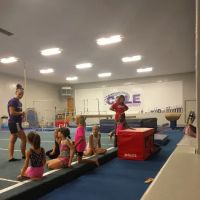 Cole Academy of Dance Gymnastics & Cheerleading Inc. ico
