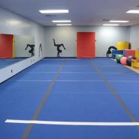 Dazzle Dance & Cheer LLC ico