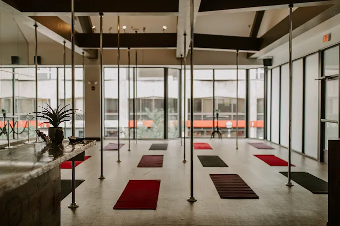 Polarity Fitness Picture 2
