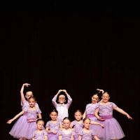 Vibe Dance Center ico
